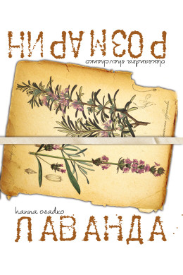 Лаванда & Розмарин
