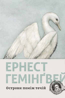 Острови поміж течій
