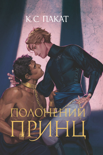 Полонений принц : роман