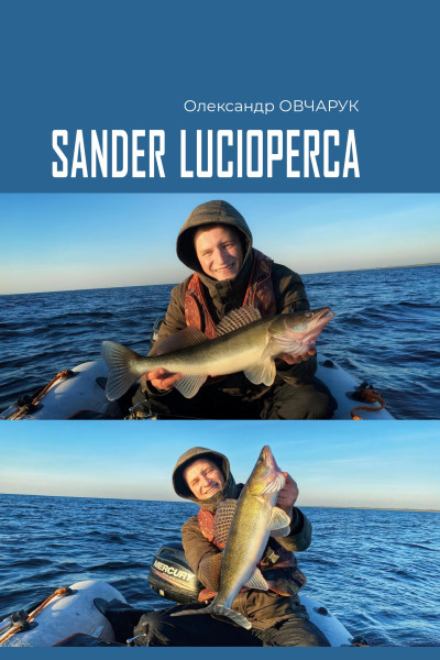 Sander lucioperca. Практика ловлі судака